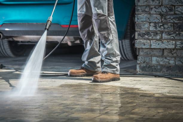 Best Dumpster Area Cleaning  in Galena, IL
