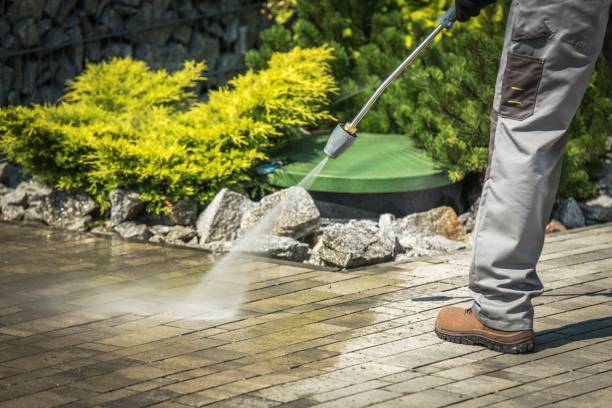 Best Sidewalk and Walkway Cleaning  in Galena, IL