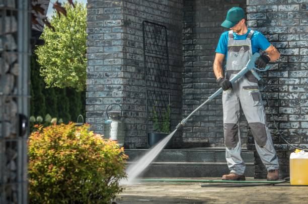 Best Fence Cleaning  in Galena, IL