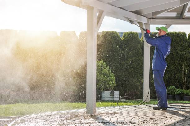 Best Warehouse Cleaning  in Galena, IL