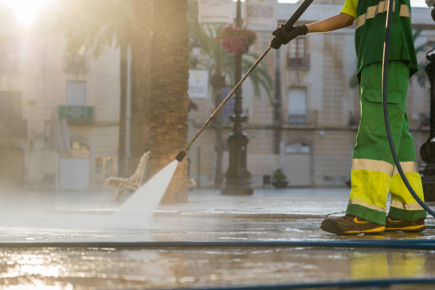 Best Solar Panel Cleaning  in Galena, IL
